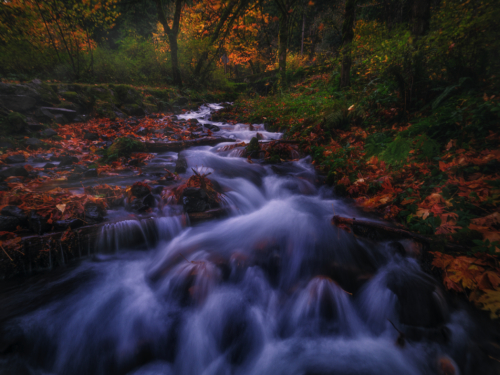 305-NiSi V5 PRO+IR ND8