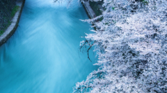 41-Sakura Nagashi-NiSi Enhance ND-VARIO 1.5-5 stops