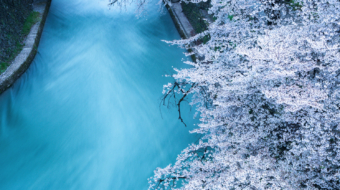 41-Sakura Nagashi-NiSi Enhance ND-VARIO 1.5-5 stops