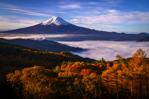 42-Autumn forest road after rain-NiSi V7 + True Color CPL + IR ND1000 + IR ND8