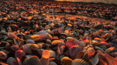 6-Last rays-NiSi 15mm F4 + V6 + Landscape CPL + Reverse GND8