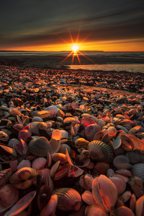 6-Last rays-NiSi 15mm F4 + V6 + Landscape CPL + Reverse GND8