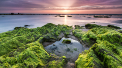 67-Secluded-NiSi-V5+IR-ND64+SOFT-GND8