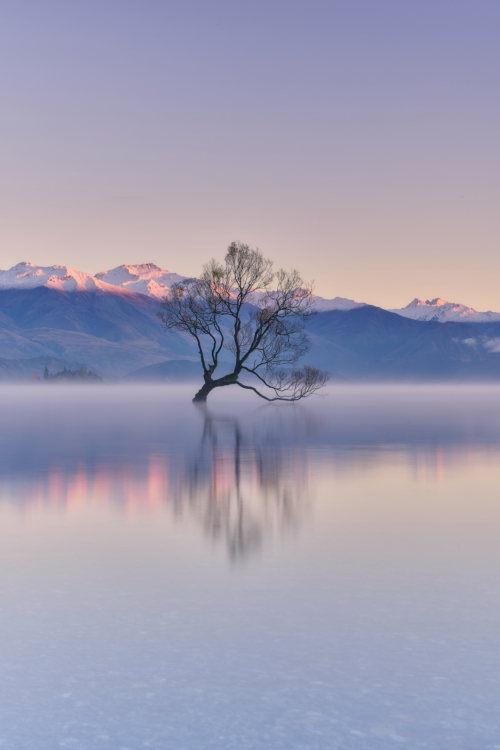 98-Serene Morning-NiSi V5 PRO+SOFT GND8