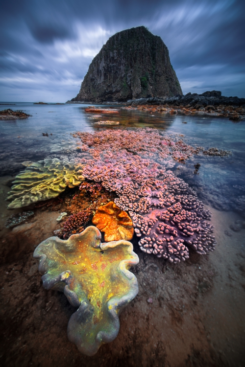 V5 PRO + V5 PRO CPL + HARD GND4 + IR ND32