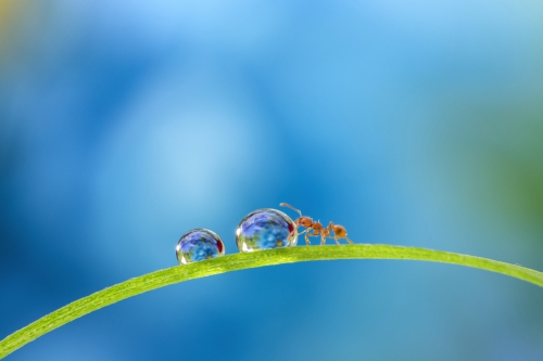 A_little_life_Miki_Asai_Closeuplens