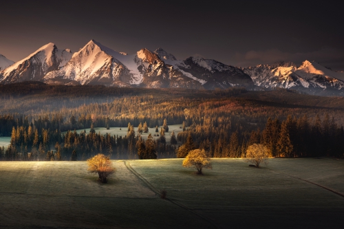 PL-Karol-Nienartowicz-2019 (1)